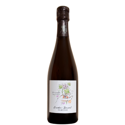 Bollicine