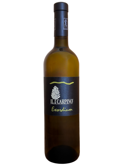 Il Carpino - Exordium